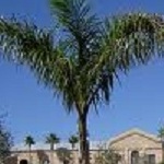 Brownsville Real Estate Coach