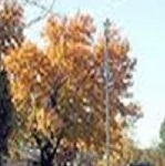 Garland Real Estate Coach