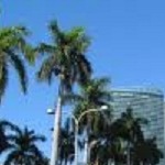 Miami Real Estate Coach