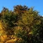 Murfreesboro Real Estate Coach