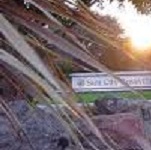 Roseville Real Estate Coach