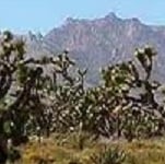 Victorville Real Estate Coach