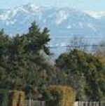 Visalia Real Estate Coach